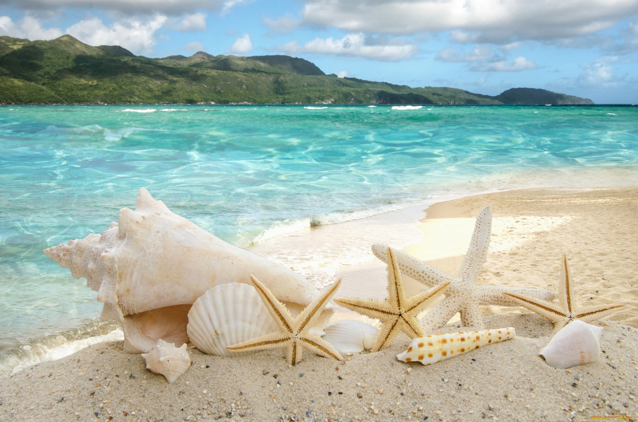 , ,  ,    spa-, , , , sea, sand, summer, , sunshine, beach, starfishes, seashells, 